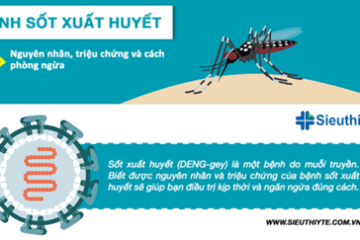 Trường mầm non Hoa Sen -Phun thuốc muỗi phòng tránh dịch sốt xuất huyết giao mua thu đông