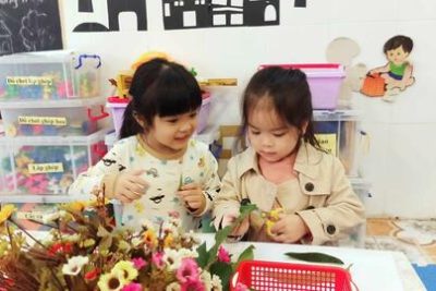 Trường mầm non Hoa Sen – Công khai kết quả giáo dục năm học 2023-2024 và các điều kiện triển khai hoạt động giáo dục năm học 2024-2025